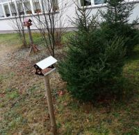 karmniki dla ptaków