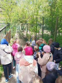 Uczniowie klas czwartych na Mazurach