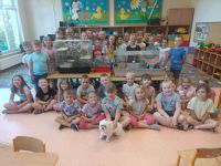 Przedszkolaki uczestniczą w zajęciach o zwierzętach