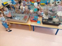 Przedszkolaki uczestniczą w zajęciach o zwierzętach