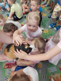Przedszkolaki uczestniczą w zajęciach o zwierzętach