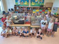 Przedszkolaki uczestniczą w zajęciach o zwierzętach