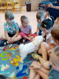 Przedszkolaki uczestniczą w zajęciach o zwierzętach