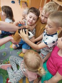Przedszkolaki uczestniczą w zajęciach o zwierzętach